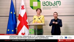 ამომრჩეველთა აქტივობამ 15.95 % შეადგინა, ყველაზე მაღალი აქტიურობით ამბროლაური გამოირჩევა