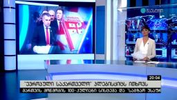 „ევროპული საქართველო“ პლებისციტს ითხოვს 