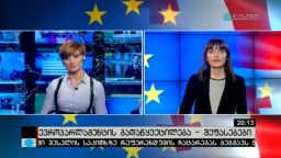 ევროპარლამენტის გადაწყვეტილება - შეფასებები 