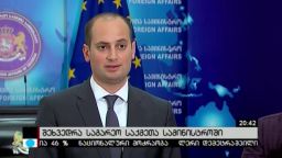 შეხვედრა საგარეო საქმეთა სამინისტროში 