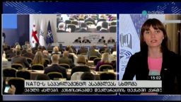 NATO-ს საპარლამენტო ასამბლეა 