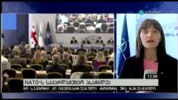 NATO-ს საპარლამენტო ასამბლეა 