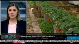Contract Farming-ის გამოწვევები საქართველოში 