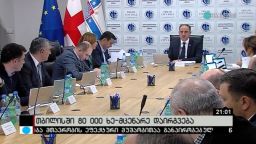 თბილისში 80 000 ხე-მცენარე დაირგვება 